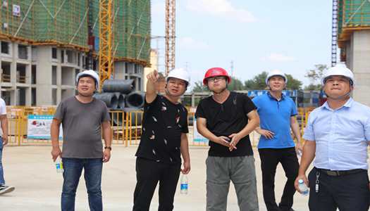 7790必发集团官网董事会巡检圆满实现